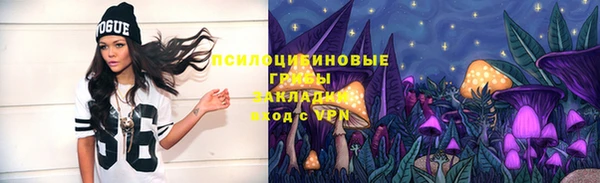 эйфоретик Баксан