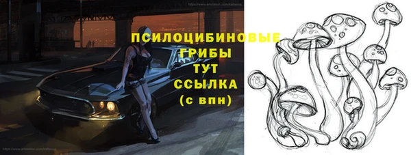 эйфоретик Баксан