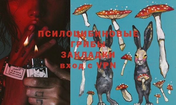 эйфоретик Баксан