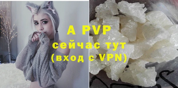 эйфоретик Баксан