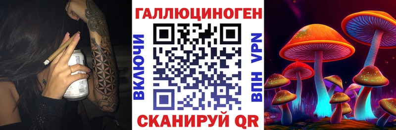 Псилоцибиновые грибы Psilocybe OMG сайт Малаховка